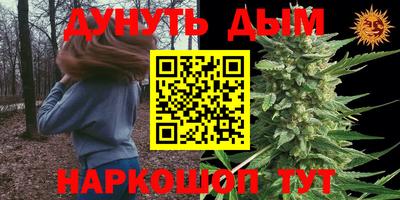 стаф Лесосибирск