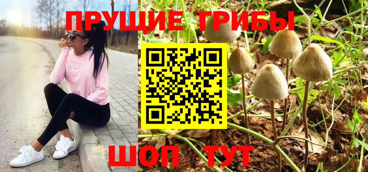 Темрюк  Галлюциногенные грибы Magic Shrooms  Галлюциногенные грибы Psilocybine cubensis  Вход с VPN 
