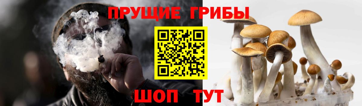 Псилоцибиновые грибы мухоморы Темрюк